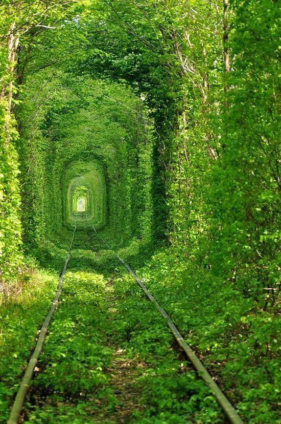 Abandoned Tunnel of Love